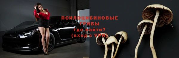 мяу мяу мука Абаза