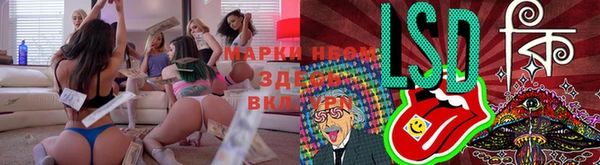 мяу мяу мука Абаза