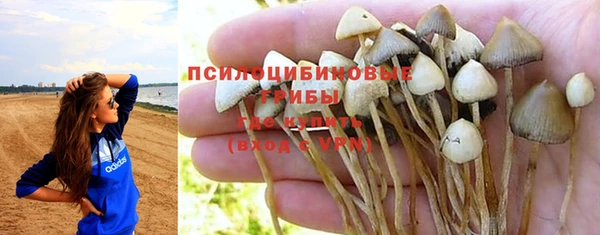 мяу мяу мука Абаза